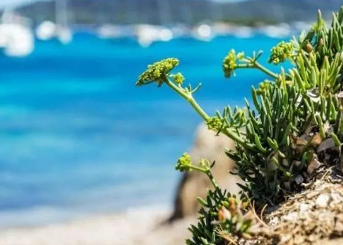 2 Pieces 5 Couchages Cavaliere - Acces Direct - Fr-1-251-138 * لو لا فاندو